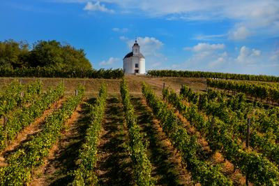 Terez chapel in Tokaj region Hungary-stock-photo