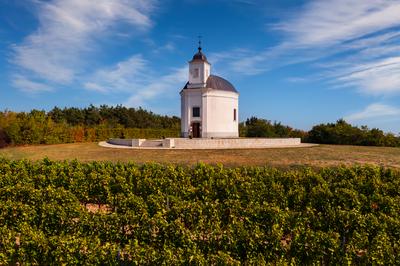 Terez chapel in Tokaj region Hungary-stock-photo