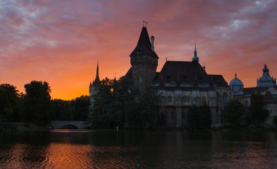 dawn-stock-foto
