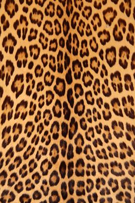 leopard skin-stock-foto