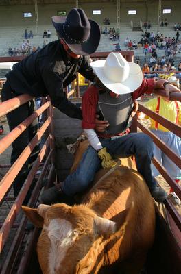 cowboy-stock-foto