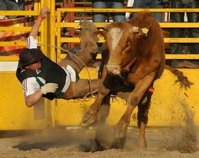 rodeo1-stock-foto