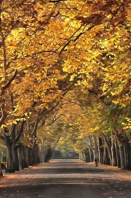 autumn-stock-foto