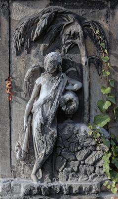 angel-stock-foto