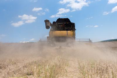 Farmers are harvesting with a New Holland CR9080 combine on a sunny day.-stock-foto