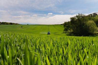 A farmer spraying on the spring wheat field with a John Deere tractor and a mamut topline sprayer.-stock-photo