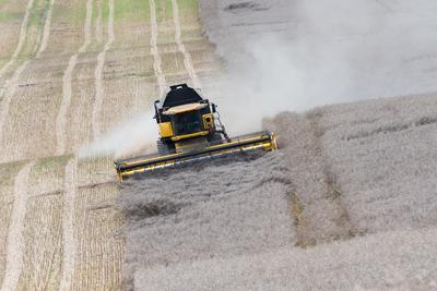Farmers are harvesting with a New Holland CR9080 combine on a sunny day.-stock-foto