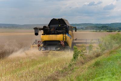 Farmers are harvesting with a New Holland CR9080 combine on a cloudy day.-stock-photo