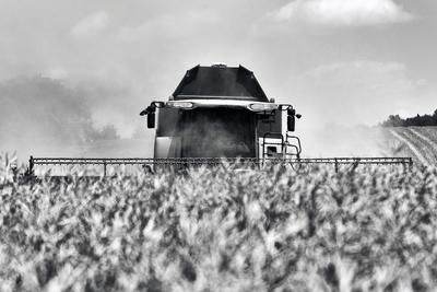 Farmers are harvesting with a New Holland CR9080 combine on a sunny day. Black and white.-stock-foto