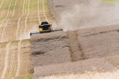 A farmers is harvesting with a New Holland CR9080 combine on a sunny day.-stock-foto
