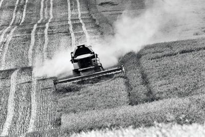 Farmers are harvesting with a New Holland CR9080 combine on a sunny day. Black and white.-stock-foto