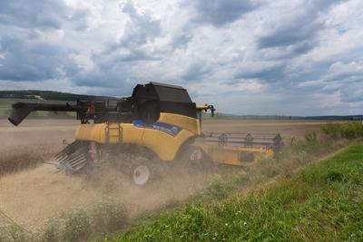 Farmers are harvesting with a New Holland CR9080 combine on a cloudy day.-stock-photo