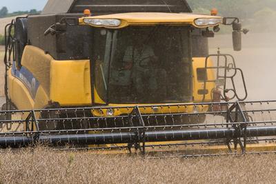 Farmers are harvesting with a New Holland CR9080 combine on a cloudy day.-stock-photo