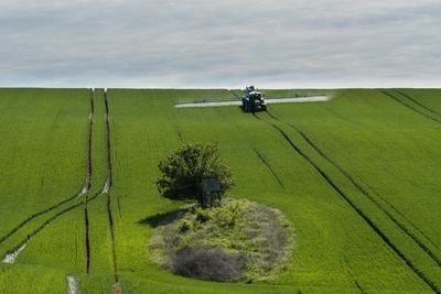 A farmer spraying on the spring wheat field with a John Deere tractor and a mamut topline sprayer.-stock-foto