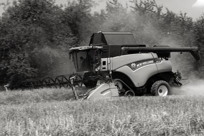 Farmers are harvesting with a New Holland CR9080 combine on a sunny day. Black and white.-stock-foto