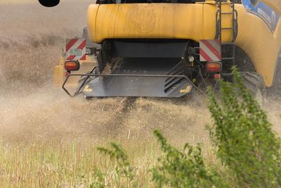 Farmers are harvesting with a New Holland CR9080 combine on a cloudy day.-stock-photo