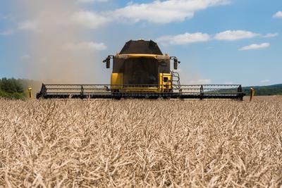 Farmers are harvesting with a New Holland CR9080 combine on a sunny day.-stock-foto