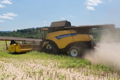 Farmers are harvesting with a New Holland CR9080 combine on a cloudy day.-stock-photo