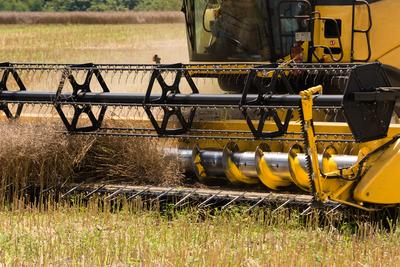 Farmers are harvesting with a New Holland CR9080 combine on a sunny day.-stock-foto