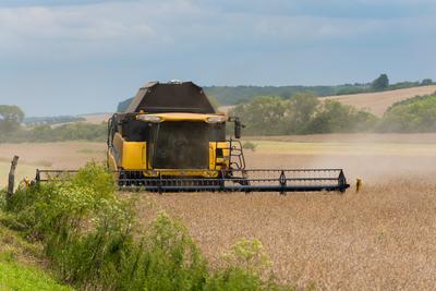 Farmers are harvesting with a New Holland CR9080 combine on a cloudy day.-stock-photo