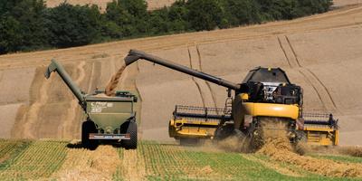 Farmers harvesting and unloading the threshed seeds with a New Holland combine, a John Deere tractor and a Fliegl ULW trailer simultaneous.-stock-photo