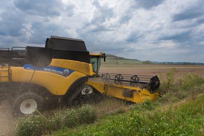 Farmers are harvesting with a New Holland CR9080 combine on a cloudy day.-stock-photo