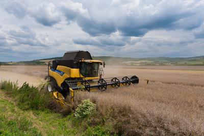 Farmers are harvesting with a New Holland CR9080 combine on a cloudy day.-stock-foto