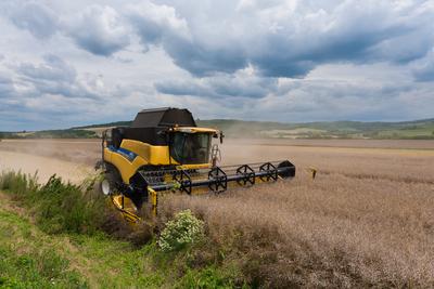 Farmers are harvesting with a New Holland CR9080 combine on a cloudy day.-stock-photo