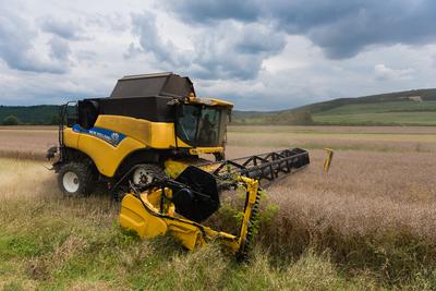 Farmers are harvesting with a New Holland CR9080 combine on a cloudy day.-stock-photo