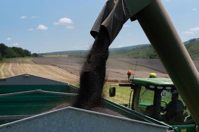 Farmers are loading the harvested seeds from a trailer to another.-stock-foto