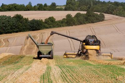 Farmers harvesting and unloading the threshed seeds with a New Holland combine, a John Deere tractor and a Fliegl ULW trailer simultaneous.-stock-photo