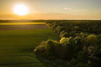 Napnyugta a mezőn-stock-foto