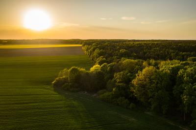 Napnyugta a mezőn-stock-foto