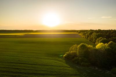 Napnyugta a mezőn-stock-foto