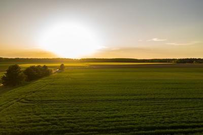 Napnyugta a mezőn-stock-foto