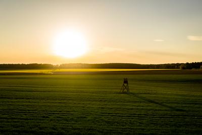 Napnyugta a mezőn-stock-foto