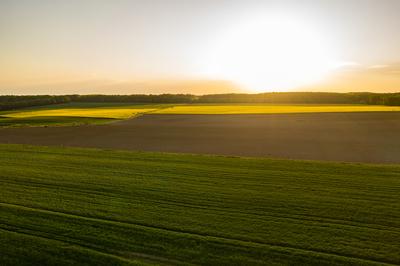 Napnyugta a mezőn-stock-foto