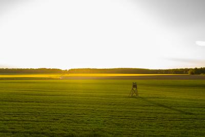 Napnyugta a mezőn-stock-foto