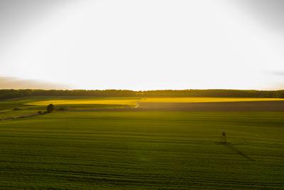 Napnyugta a mezőn-stock-foto