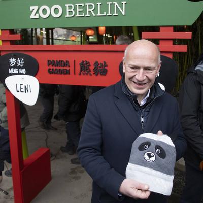 Panda-Zwillinge, Taufpatenschaft im Zoologischen Garten, Berlin, 06.12.2024-stock-photo