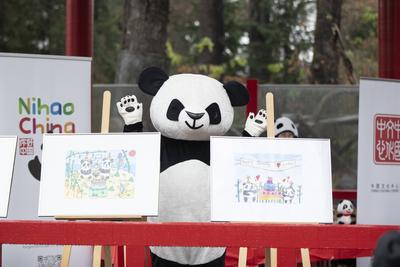 Panda-Zwillinge, Taufpatenschaft im Zoologischen Garten, Berlin, 06.12.2024-stock-photo