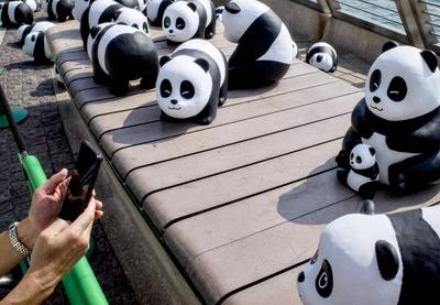 HONG KONG, CHINA - DECEMBER 07: Visitors take photos of thousands of giant panda sculptures displayed at the Avenue of S-stock-photo
