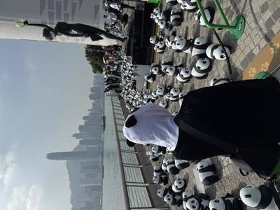 HONG KONG, CHINA - DECEMBER 07: Thousands of giant panda sculptures are displayed at the Avenue of Stars in Tsim Sha Tsu-stock-photo