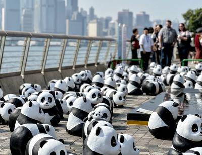 HONG KONG, CHINA - DECEMBER 07: Thousands of giant panda sculptures are displayed at the Avenue of Stars in Tsim Sha Tsu-stock-photo