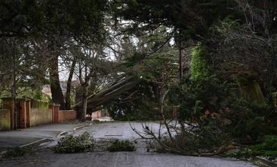 Storm Darragh hits Somerset, Burnham on Sea, UK - 7 Dec 2024-stock-photo