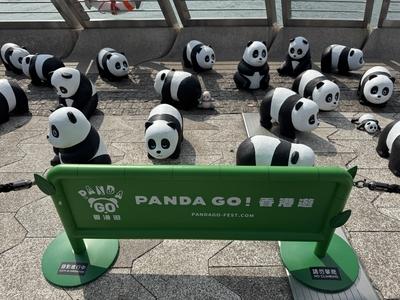 HONG KONG, CHINA - DECEMBER 07: Thousands of giant panda sculptures are displayed at the Avenue of Stars in Tsim Sha Tsu-stock-photo