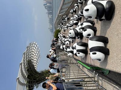 HONG KONG, CHINA - DECEMBER 07: Visitors take photos of thousands of giant panda sculptures displayed at the Avenue of S-stock-photo