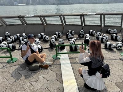 HONG KONG, CHINA - DECEMBER 07: Visitors take photos of thousands of giant panda sculptures displayed at the Avenue of S-stock-photo
