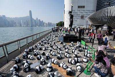 HONG KONG, CHINA - DECEMBER 07: Thousands of giant panda sculptures are displayed at the Avenue of Stars in Tsim Sha Tsu-stock-photo