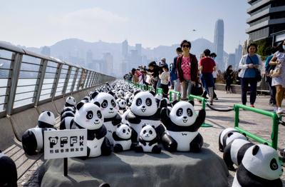 HONG KONG, CHINA - DECEMBER 07: Thousands of giant panda sculptures are displayed at the Avenue of Stars in Tsim Sha Tsu-stock-photo